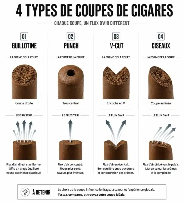 Infographie comparative des différents types de coupe cigare : guillotine, punch, V-cut et ciseaux pour une dégustation optimale.